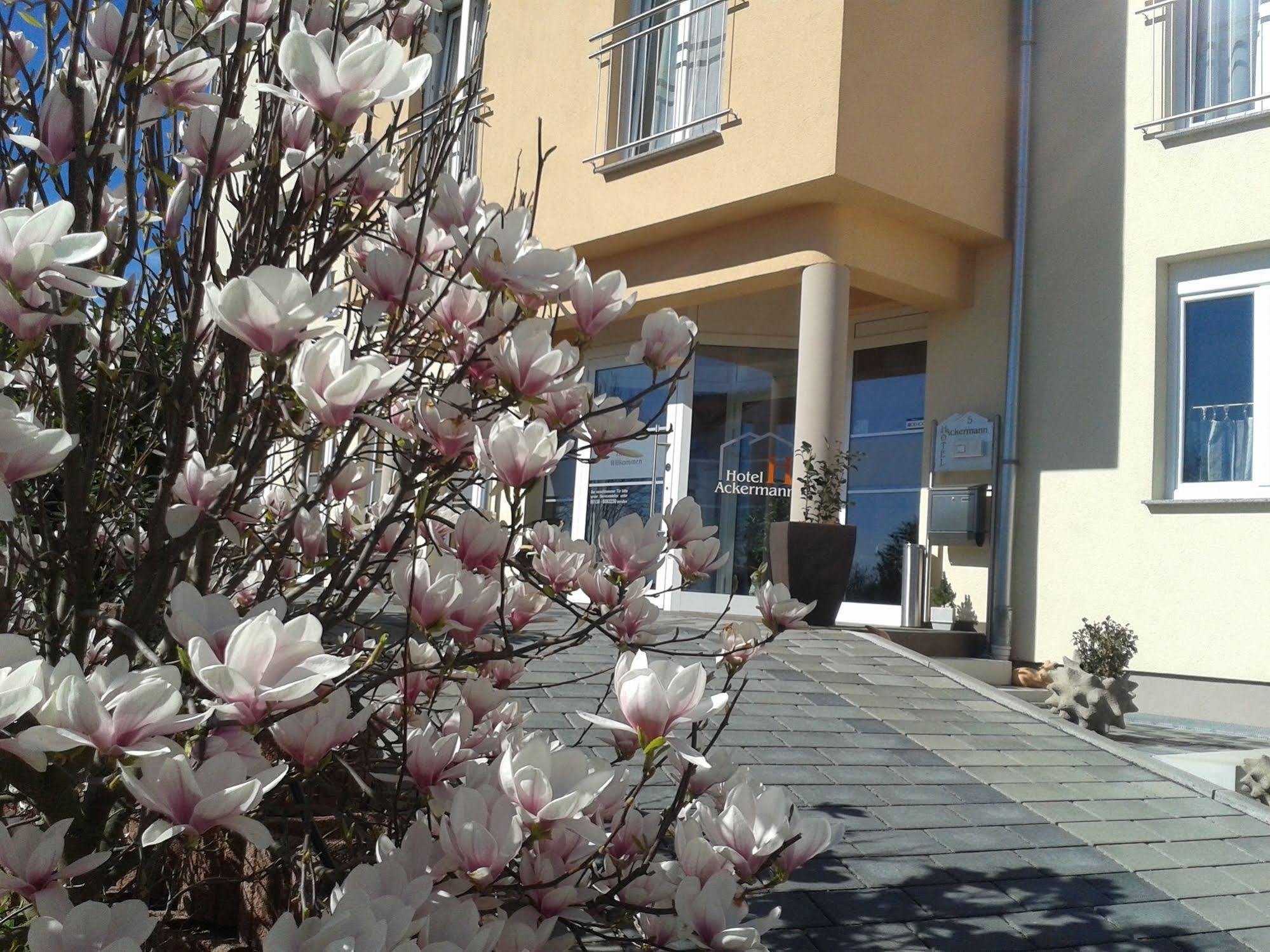 Hotel Ackermann Riedstadt Ngoại thất bức ảnh